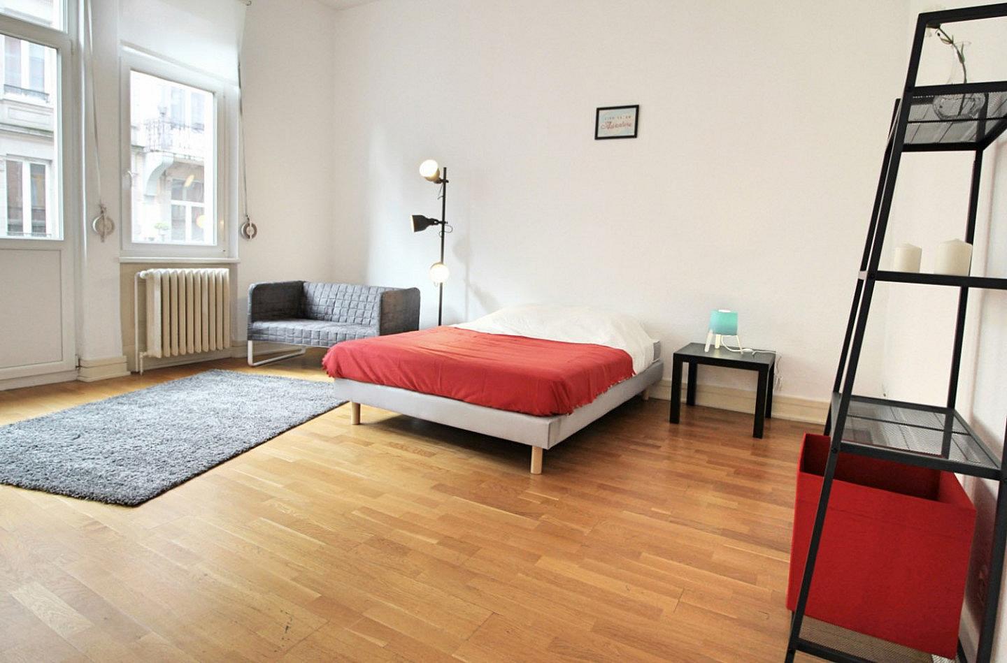  Spacious Luminous Bedroom - 22m² - ST18  -  Large apartment located close to the Botanical Garden in Strasbourg  - Gallery -  26