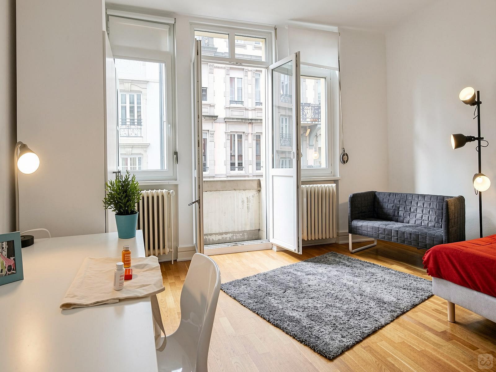  Spacious Luminous Bedroom - 22m² - ST18  -  Large apartment located close to the Botanical Garden in Strasbourg  - Gallery -  35