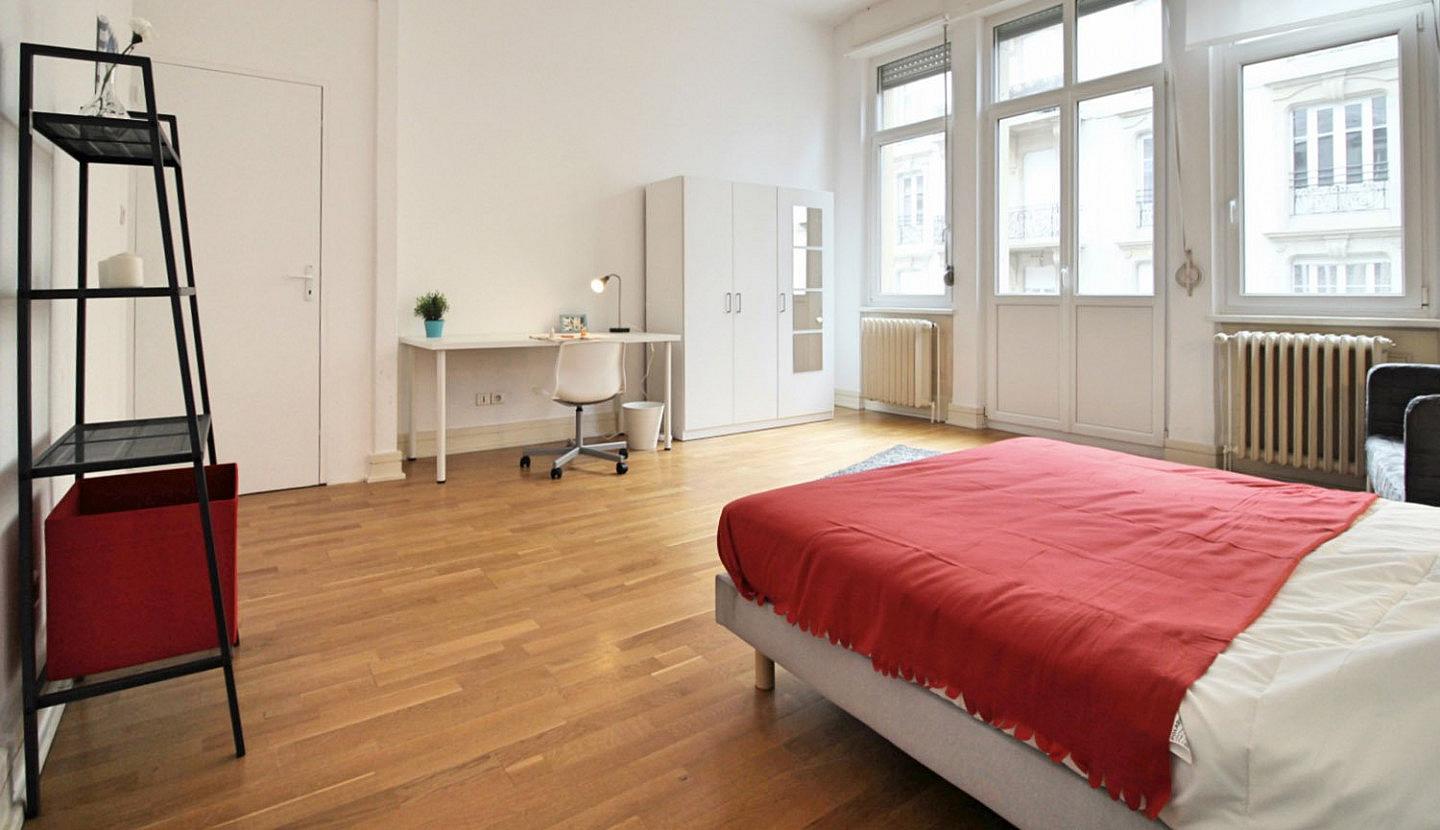  Spacious Luminous Bedroom - 22m² - ST18  -  Large apartment located close to the Botanical Garden in Strasbourg  - Gallery -  15