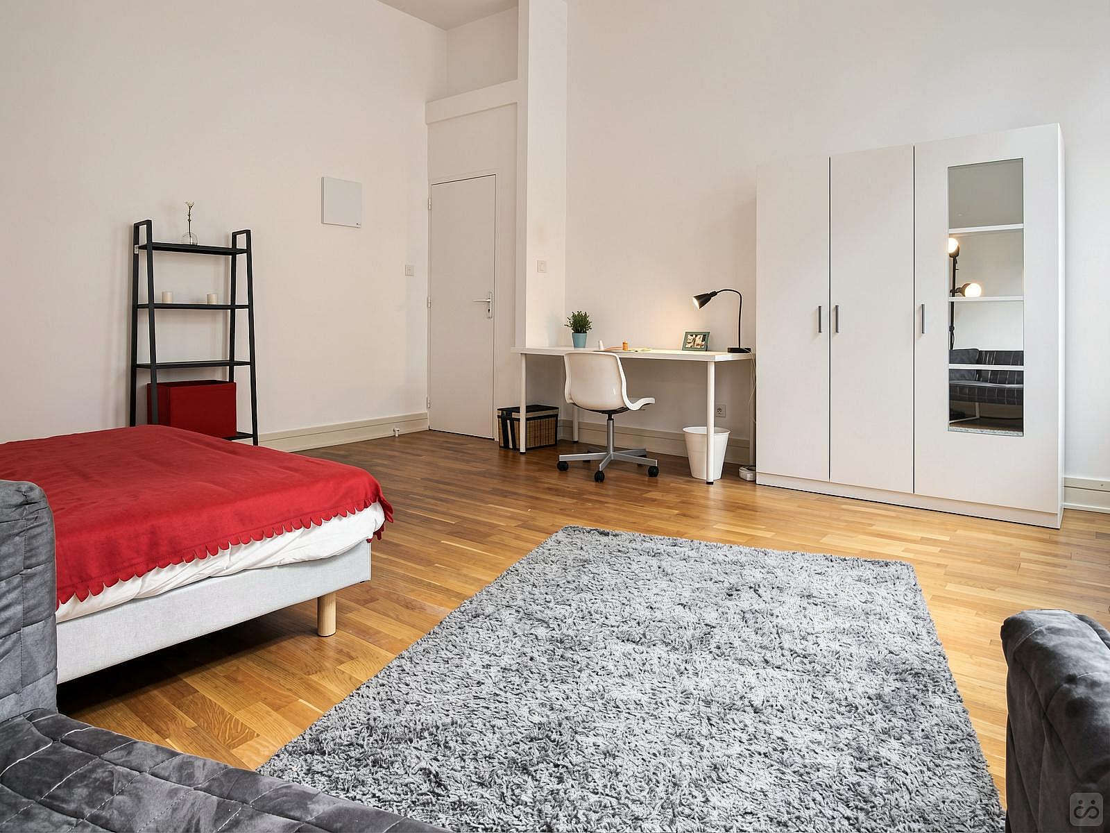  Spacious Luminous Bedroom - 22m² - ST18  -  Large apartment located close to the Botanical Garden in Strasbourg  - Gallery -  34