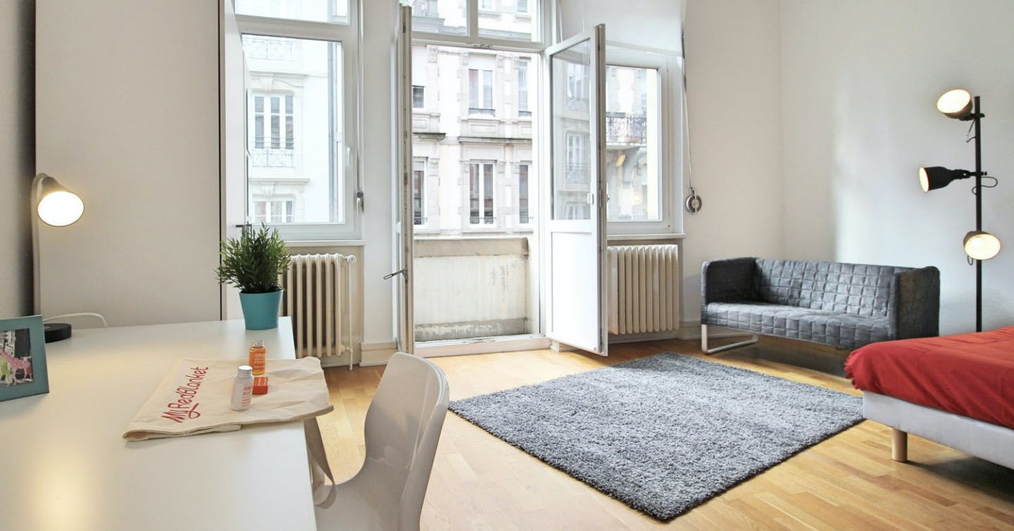  Spacious Luminous Bedroom - 22m² - ST18  -  Large apartment located close to the Botanical Garden in Strasbourg  - Gallery -  5