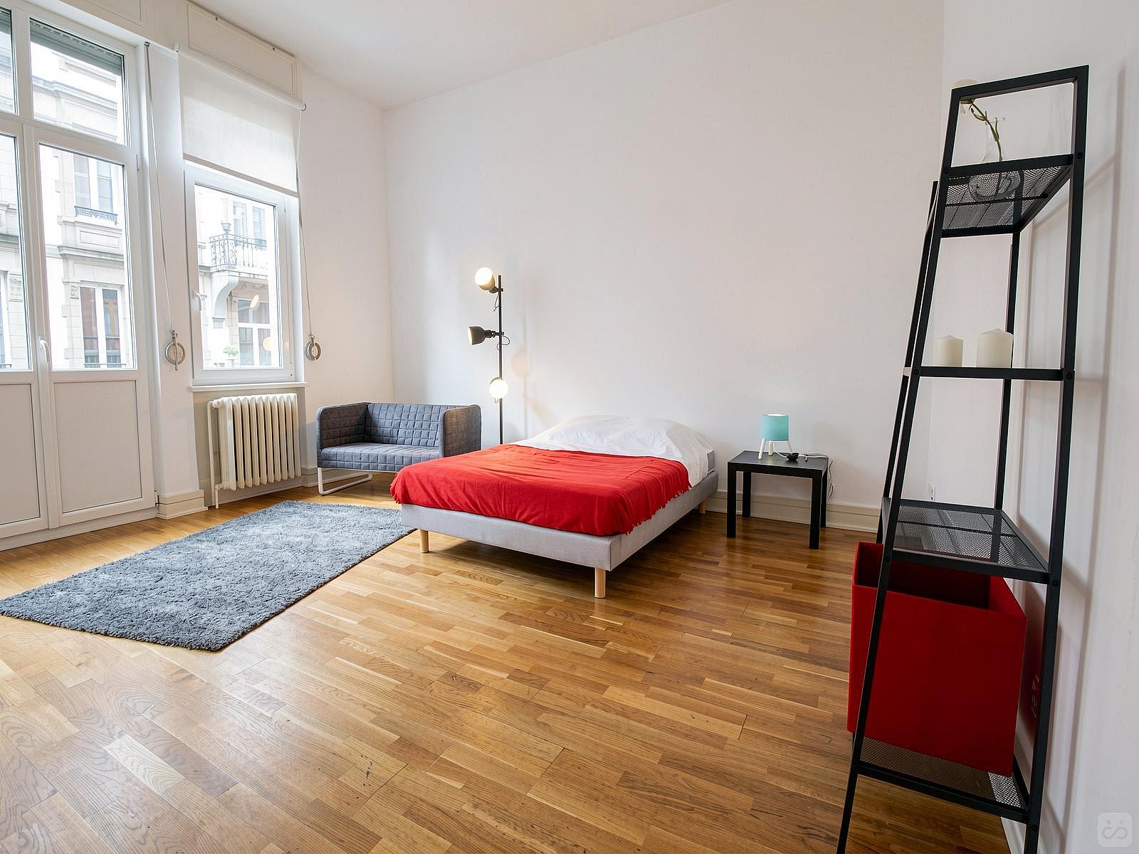  Spacious Luminous Bedroom - 22m² - ST18  -  Large apartment located close to the Botanical Garden in Strasbourg  - Gallery -  36