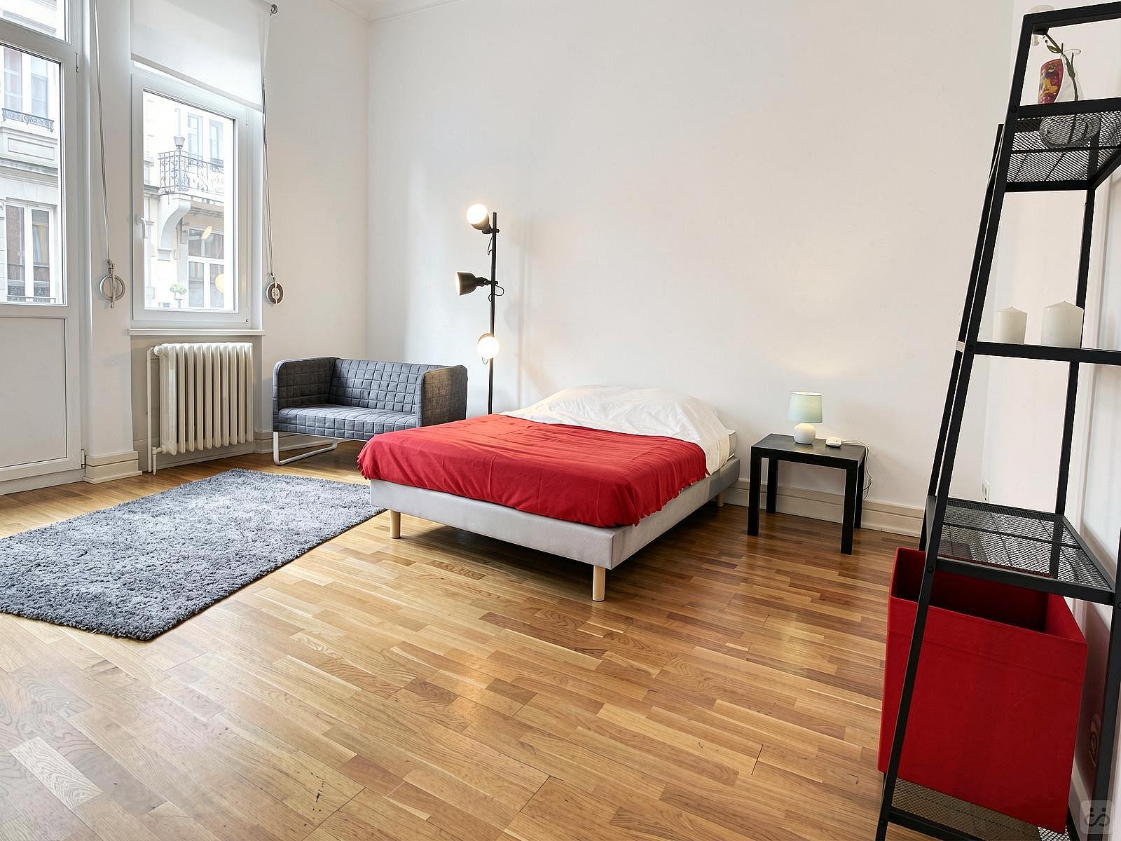  Spacious Luminous Bedroom - 22m² - ST18  -  Large apartment located close to the Botanical Garden in Strasbourg  - Gallery -  32