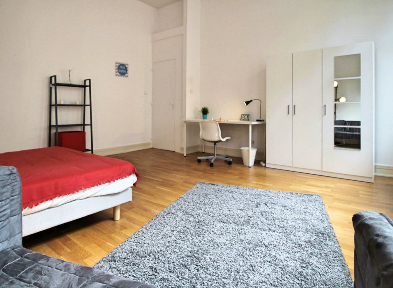  Spacious Luminous Bedroom - 22m² - ST18  -  Large apartment located close to the Botanical Garden in Strasbourg  - Gallery -  10