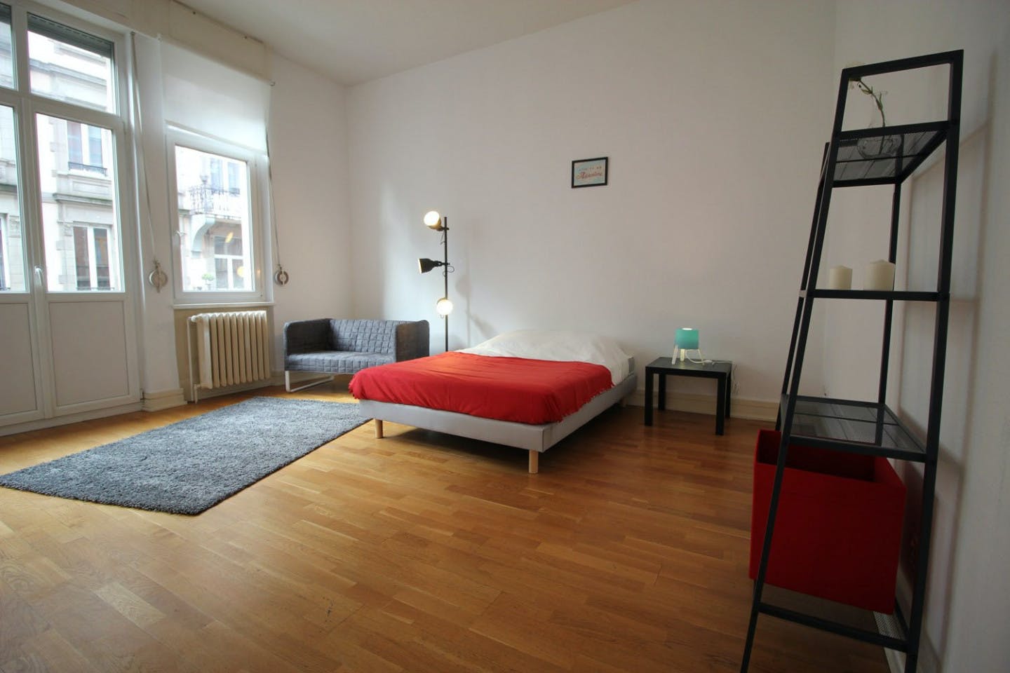  Spacious Luminous Bedroom - 22m² - ST18  -  Large apartment located close to the Botanical Garden in Strasbourg  - Gallery -  6