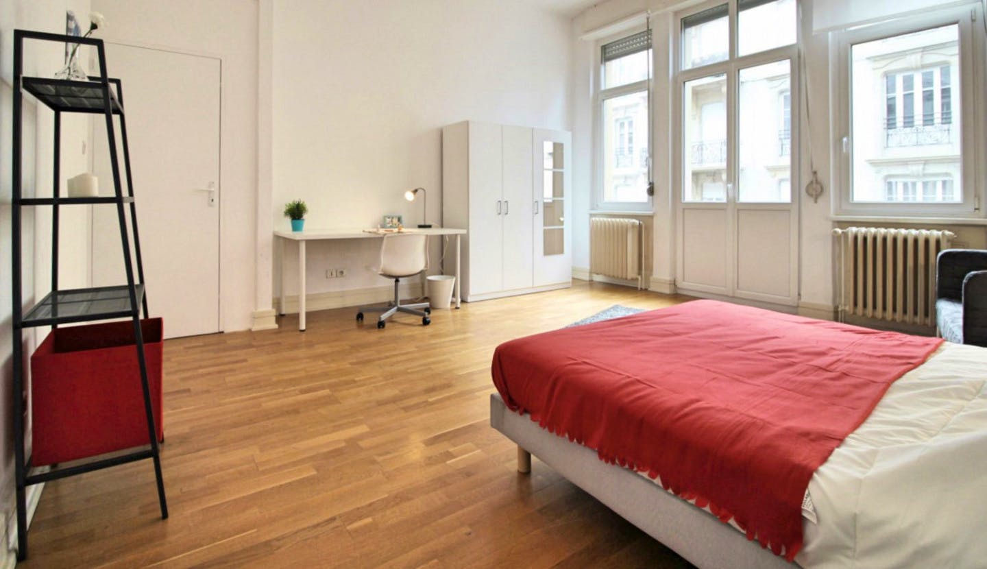 Spacious Luminous Bedroom - 22m² - ST18  -  Large apartment located close to the Botanical Garden in Strasbourg  - Gallery -  9