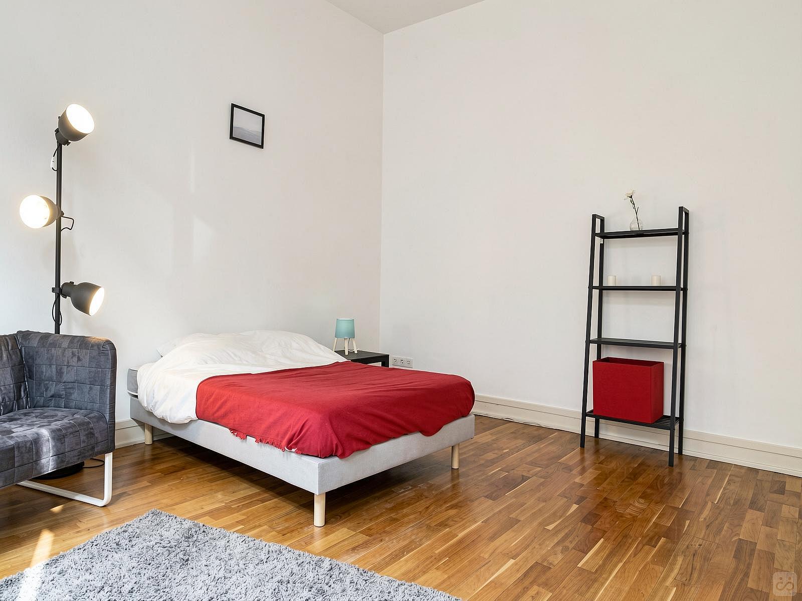  Spacious Luminous Bedroom - 22m² - ST18  -  Large apartment located close to the Botanical Garden in Strasbourg  - Gallery -  31