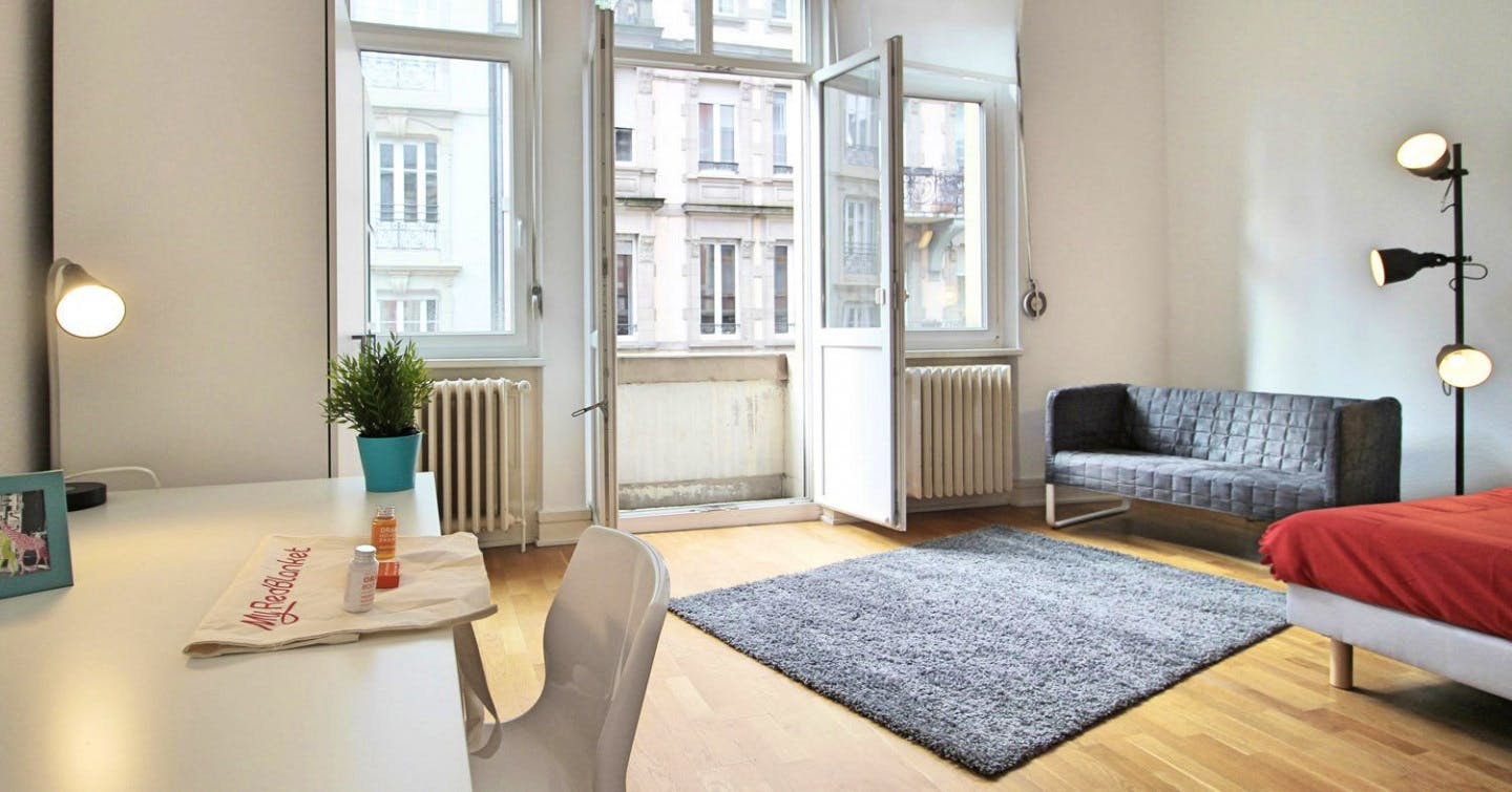  Spacious Luminous Bedroom - 22m² - ST18  -  Large apartment located close to the Botanical Garden in Strasbourg  - Gallery -  11
