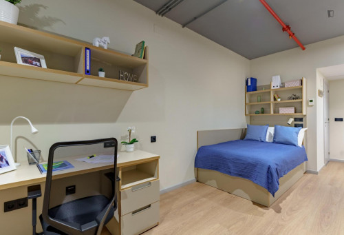 Estudio Sencillo con Cocina y Baño Privado