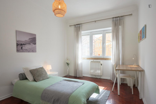 Neat and cosy single bedroom in Arroios