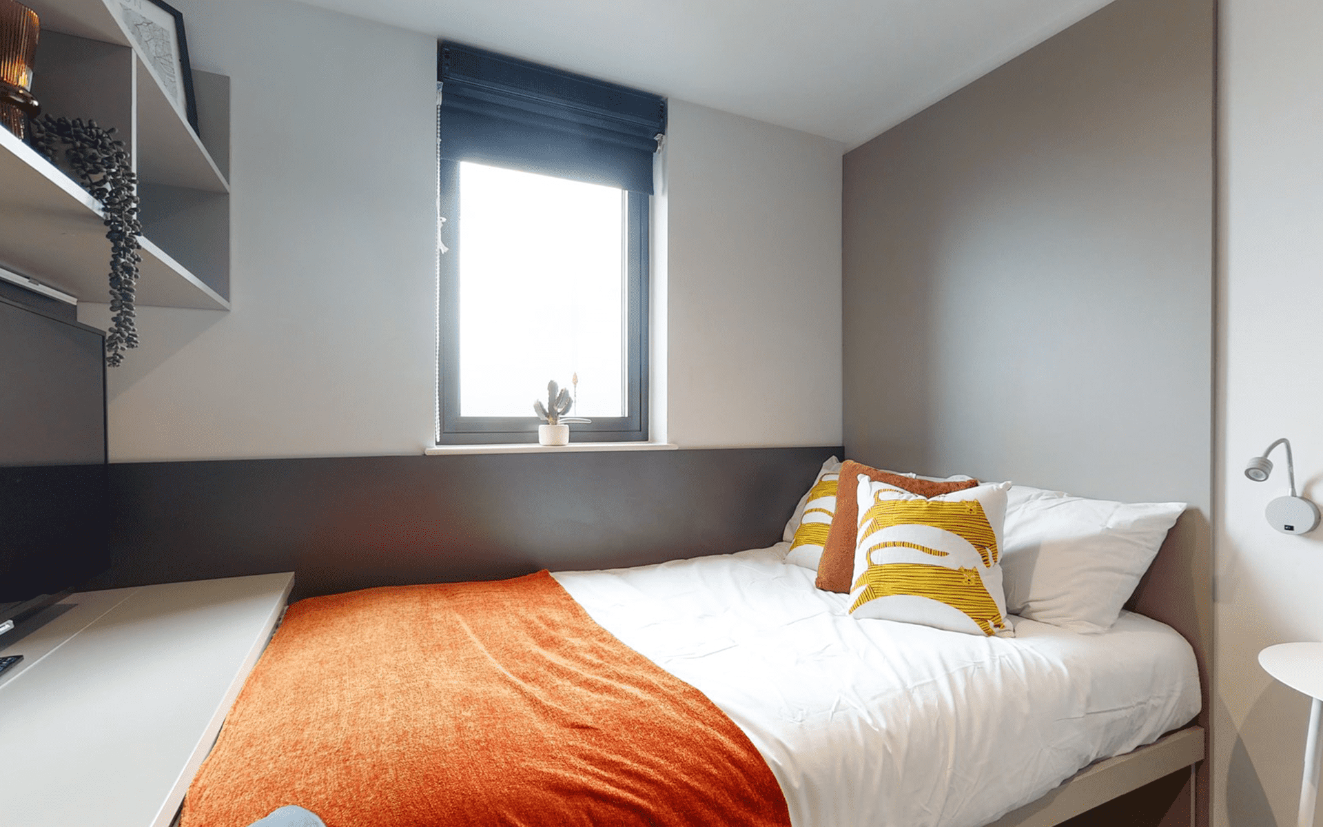 Bronze Studio Mid Level - Ealing Residence - Flexible Tenancies - Gallery - 3