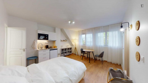 Large studio near the Issy-les-Moulineaux