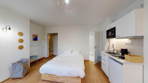 Large studio near the Issy-les-Moulineaux