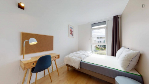 Cosy double bedroom in Guyancourt