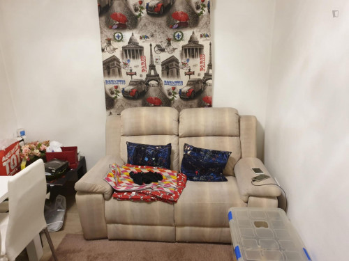 Double bedroom in 2-bedroom apartment  - Gallery -  5