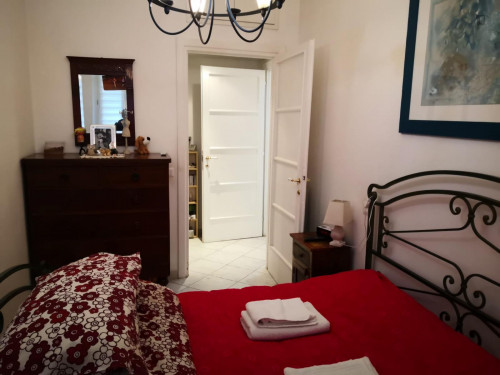 Homely 1-bedroom apartment in Prati