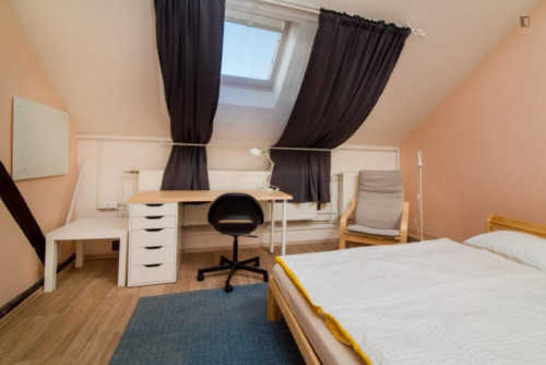 Bright double bedroom in a 4-bedroom apartment close to Grebovka park