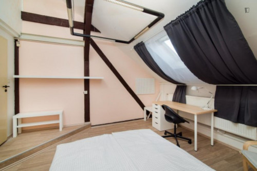 Bright double bedroom in a 4-bedroom apartment close to Grebovka park