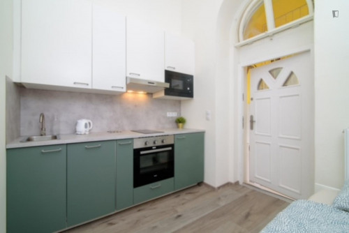 Bright 1-bedroom apartment close to New Town