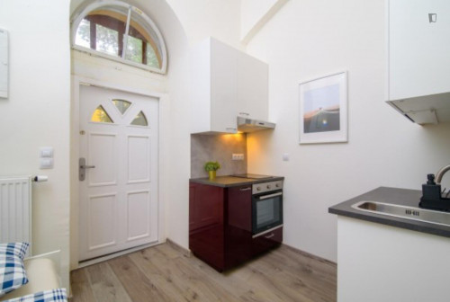 Comfy 1-bedroom apartment close to Park Folimanka