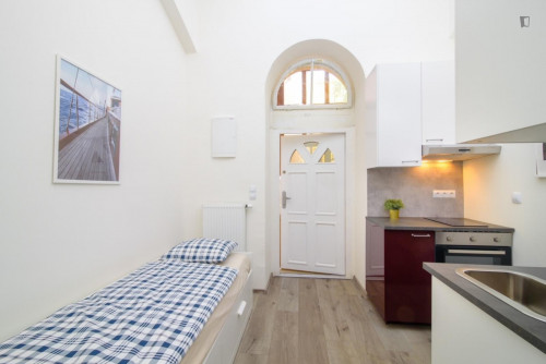 Comfy 1-bedroom apartment close to Park Folimanka