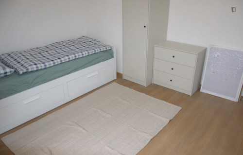Appealing single bedroom in the Prague 2 district