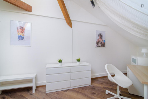 Bright single bedroom in a 6-bedroom apartment close to Riegrovy sady