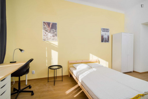 Sunny double bedroom in the well-linked Prague 2 district