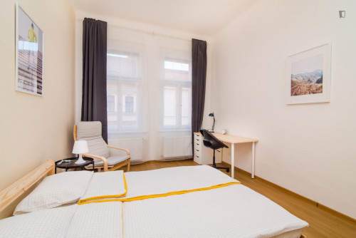 Bright double bedroom in a 5-bedroom apartment close to Grebovka park