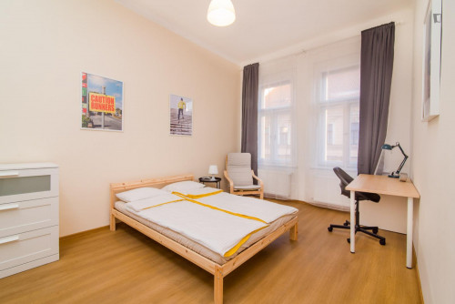 Bright double bedroom in a 5-bedroom apartment close to Grebovka park