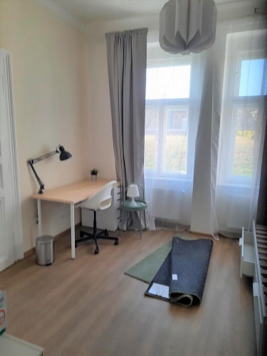 Comfy single bedroom in the Prague 2 district