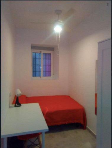 Cozy room in coliving space in Murcia