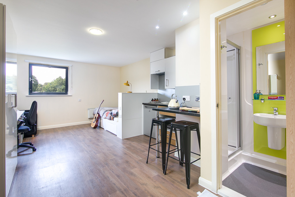 Gold Studio - Llys Y Deon - Gallery - 28