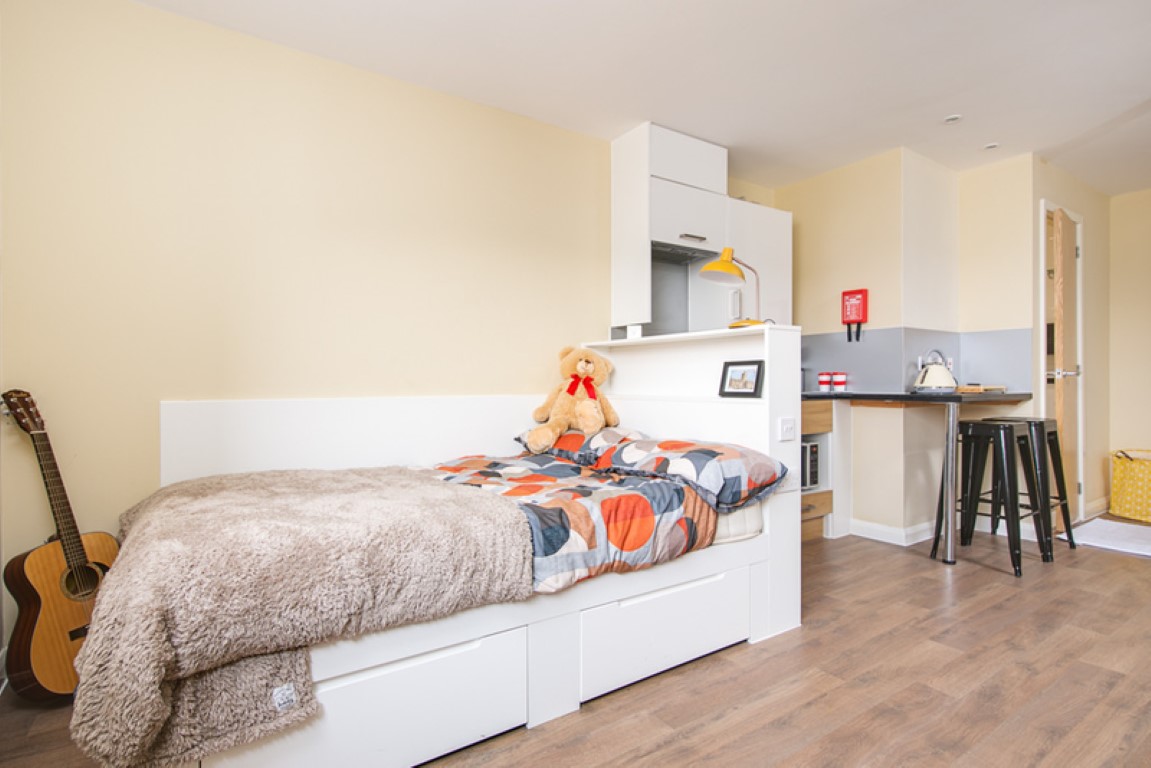 Gold Studio - Llys Y Deon - Gallery - 1