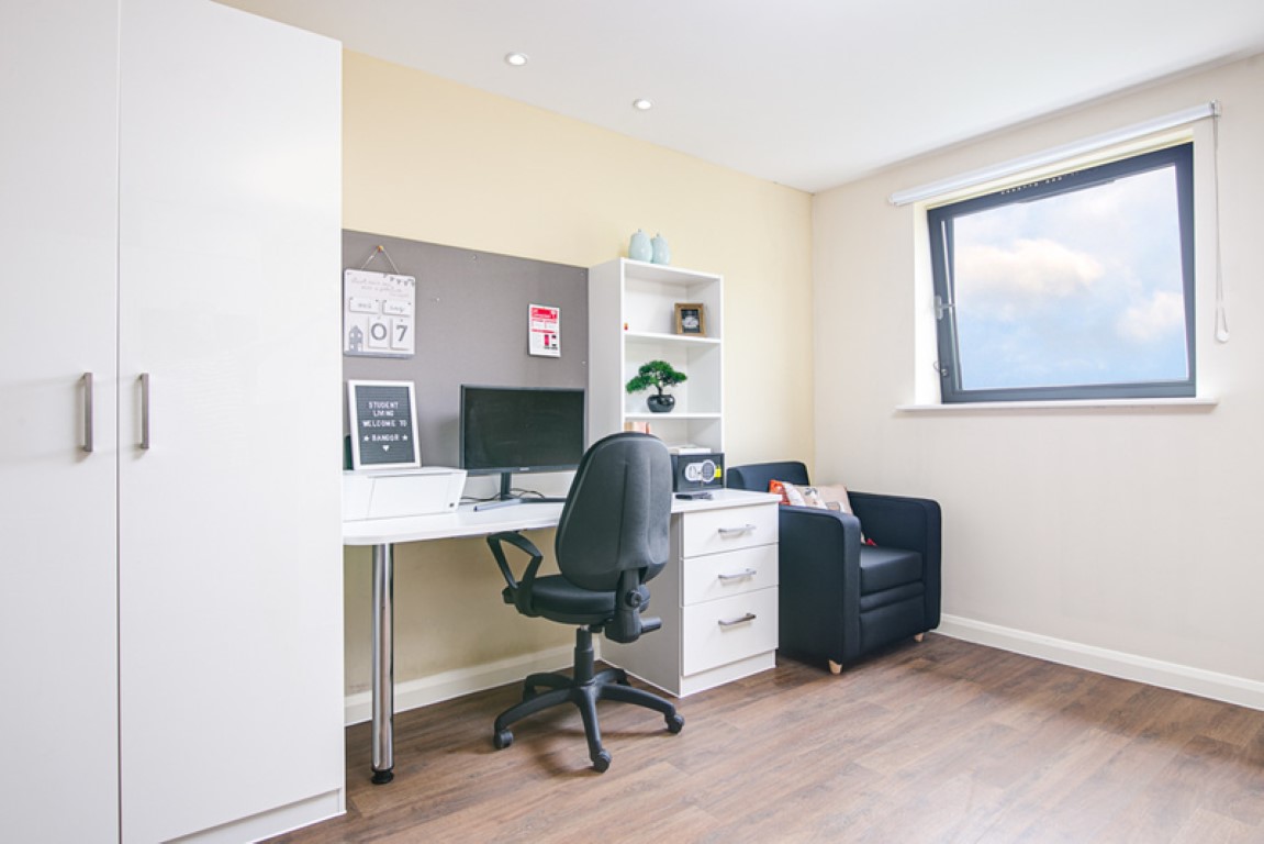 Gold Studio - Llys Y Deon - Gallery - 13