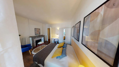 Charismatic double bedroom near the Université Toulouse Capitole
