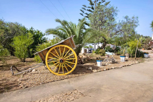 Cicentinho Home - Gallery - 44