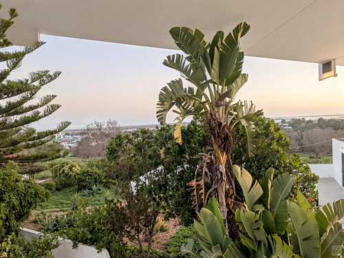 Cicentinho Home - Gallery - 159