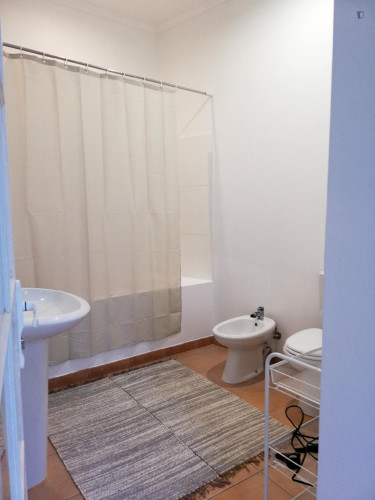 Single room 5 - Gallery - 8