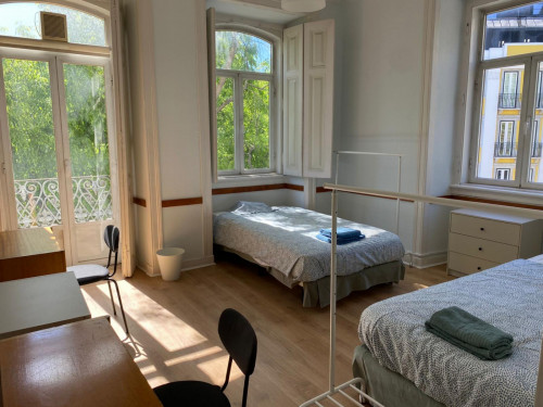 Very nice twin bedroom near Instituto Superior Técnico -3