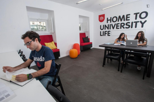 Good and cosy single bedroom in a super residence near Instituto Superior Técnico