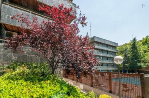 Nice 1-bedroom apartment in Tetuán - Gallery - 12