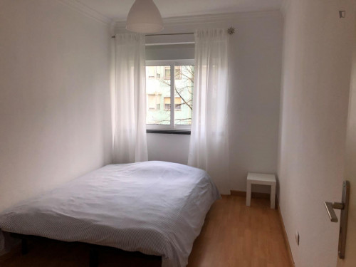 Comfy single bedroom near Colombo shopping centre