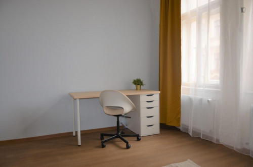 Bright single bedroom in a 4-bedroom apartment close to Grebovka park