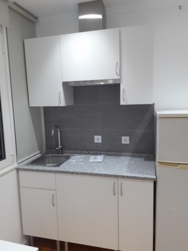 Attractive studio close to Sete Rios metro station