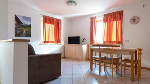 Cosy 1-bedroom apartment in Molina  - Gallery - 13