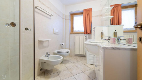 Cosy 1-bedroom apartment in Molina  - Gallery - 7