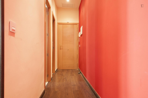 Cool 3-bedroom apartment in central Lavapiés - Gallery - 14