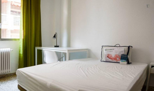 Single bedroom in a large flat, near Facultad de Derecho