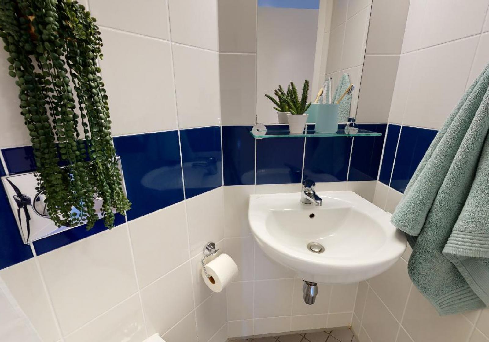  Silver En-Suite Plus  -  Will Wyatt Court  - Gallery -  4